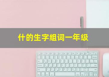 什的生字组词一年级