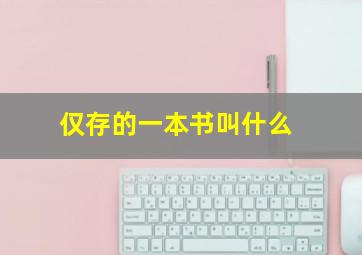 仅存的一本书叫什么