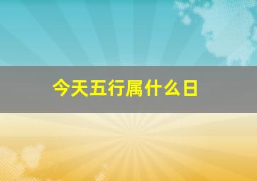 今天五行属什么日