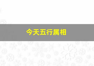 今天五行属相