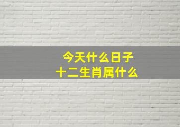 今天什么日子十二生肖属什么