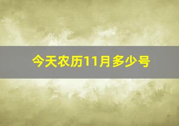 今天农历11月多少号