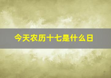 今天农历十七是什么日