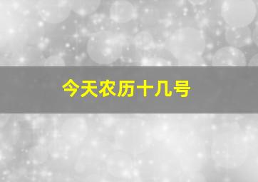 今天农历十几号