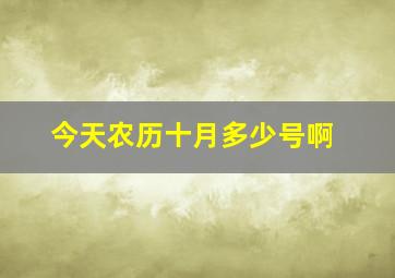 今天农历十月多少号啊