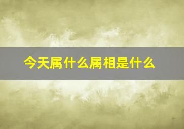 今天属什么属相是什么