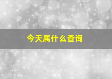 今天属什么查询