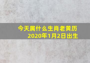 今天属什么生肖老黄历2020年1月2日出生