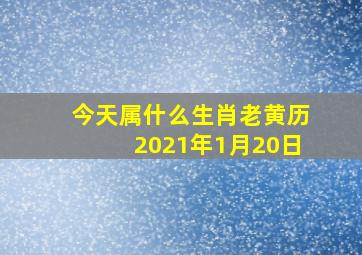 今天属什么生肖老黄历2021年1月20日