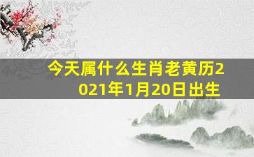 今天属什么生肖老黄历2021年1月20日出生