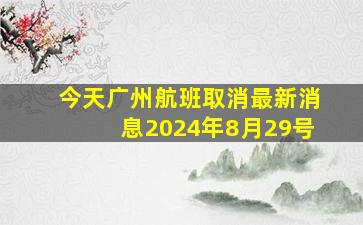 今天广州航班取消最新消息2024年8月29号