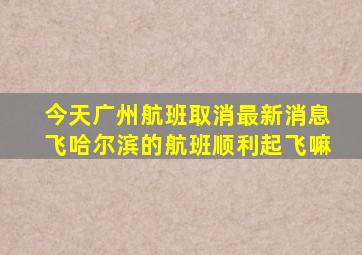 今天广州航班取消最新消息飞哈尔滨的航班顺利起飞嘛