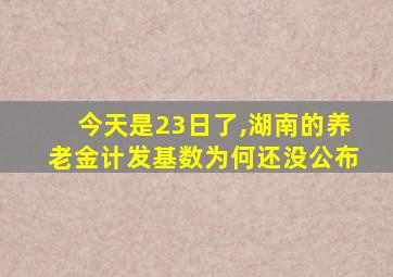 今天是23日了,湖南的养老金计发基数为何还没公布