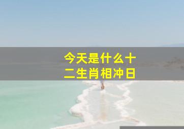 今天是什么十二生肖相冲日