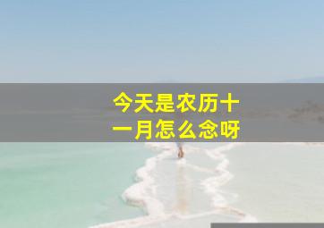 今天是农历十一月怎么念呀