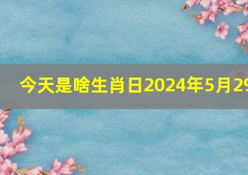 今天是啥生肖日2024年5月29