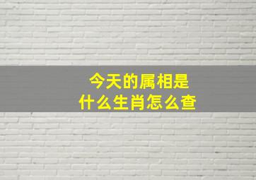 今天的属相是什么生肖怎么查