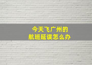 今天飞广州的航班延误怎么办