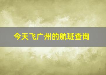 今天飞广州的航班查询