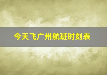 今天飞广州航班时刻表