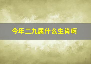 今年二九属什么生肖啊