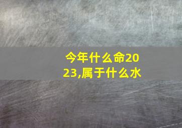 今年什么命2023,属于什么水