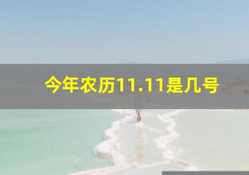 今年农历11.11是几号