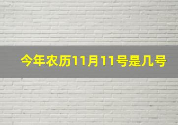 今年农历11月11号是几号