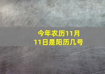 今年农历11月11日是阳历几号