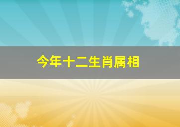 今年十二生肖属相