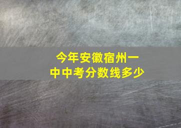 今年安徽宿州一中中考分数线多少