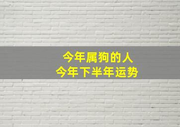 今年属狗的人今年下半年运势