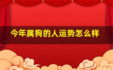 今年属狗的人运势怎么样