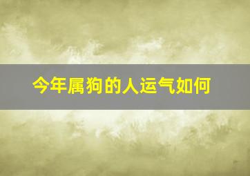 今年属狗的人运气如何