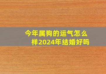 今年属狗的运气怎么样2024年结婚好吗