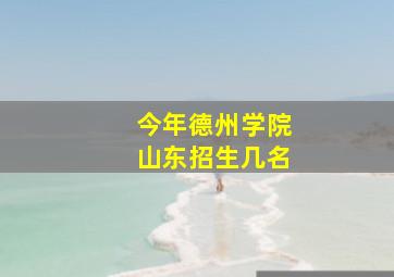 今年德州学院山东招生几名