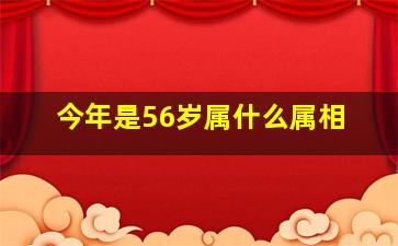 今年是56岁属什么属相