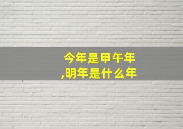 今年是甲午年,明年是什么年