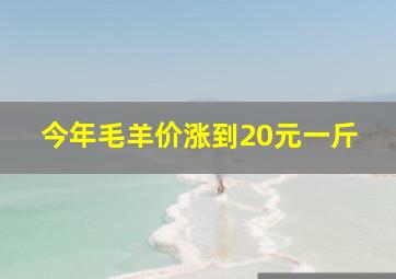 今年毛羊价涨到20元一斤