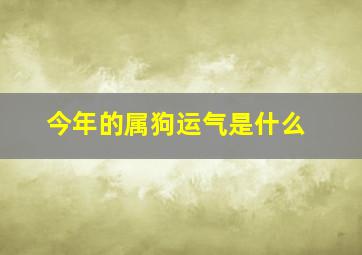 今年的属狗运气是什么