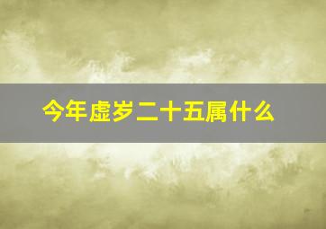 今年虚岁二十五属什么