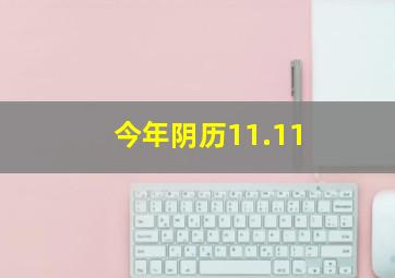 今年阴历11.11