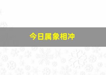 今日属象相冲