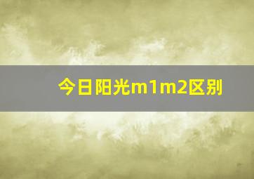 今日阳光m1m2区别