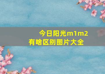 今日阳光m1m2有啥区别图片大全