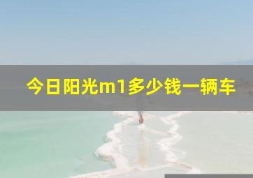 今日阳光m1多少钱一辆车