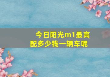 今日阳光m1最高配多少钱一辆车呢