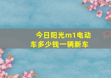 今日阳光m1电动车多少钱一辆新车