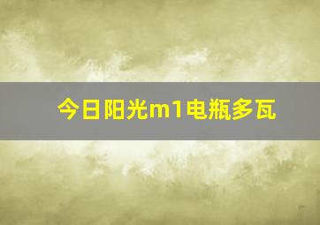 今日阳光m1电瓶多瓦