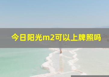 今日阳光m2可以上牌照吗